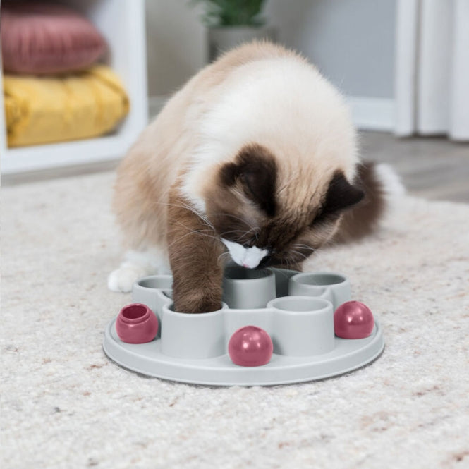 Trixie Cat Activity Pentagon
