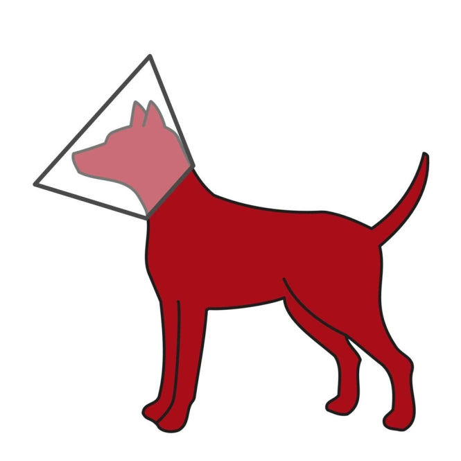 Trixie protective collar made of plastic