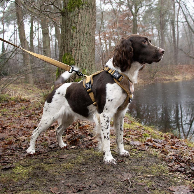 Duvoplus EXPLOR Ultimate Fit No-Pull Harness - honey gold