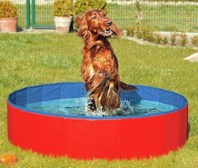 Karlie DOGGY POOL the swimming pool for dogs - Red-Blue