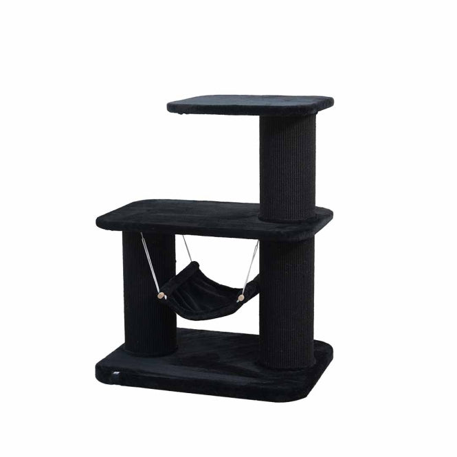 EBI cat tree Houston