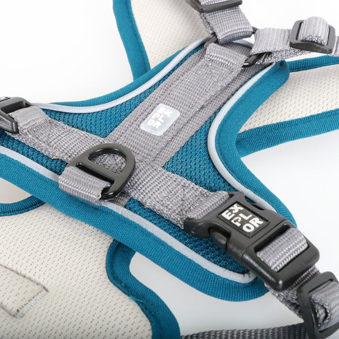 Duvoplus EXPLOR Ultimate Fit no-pull harness - petrol blue