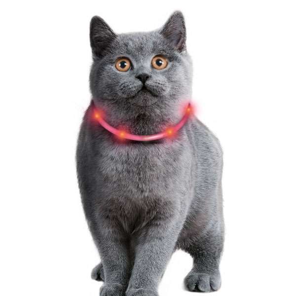 Karlie Visio Light Cat LED Tube with USB - Pink