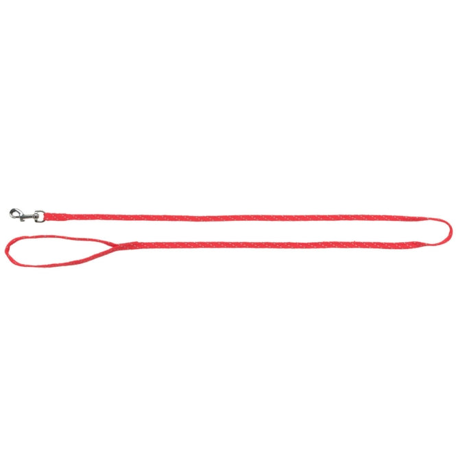 Trixie cat harness with leash, reflective