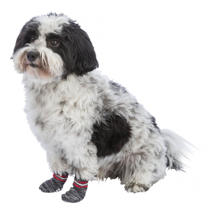 Trixie Dog Socks - Grey