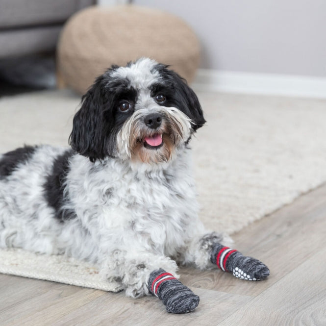 Trixie Dog Socks - Grey