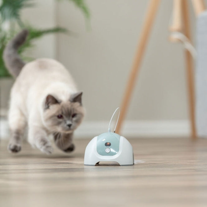 Trixie Cat Toy CATCH ME with Motor/Remote Control